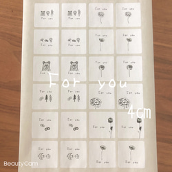 25×50サイズ A4シート ほんの気持ちです 感謝を込めて 手書き風