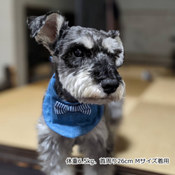 犬 猫 ペット クールバンダナ デニム リボン 保冷剤付き 小型犬 中型犬 大型犬 夏 首 冷やす 蝶ネクタイ スタイ 19枚目の画像