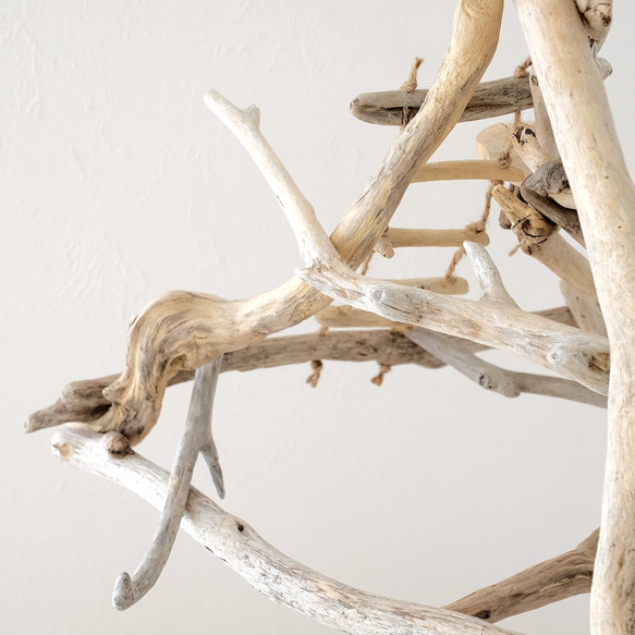 【セミオーダー】流木ハンギングバードジム M 6枚目の画像