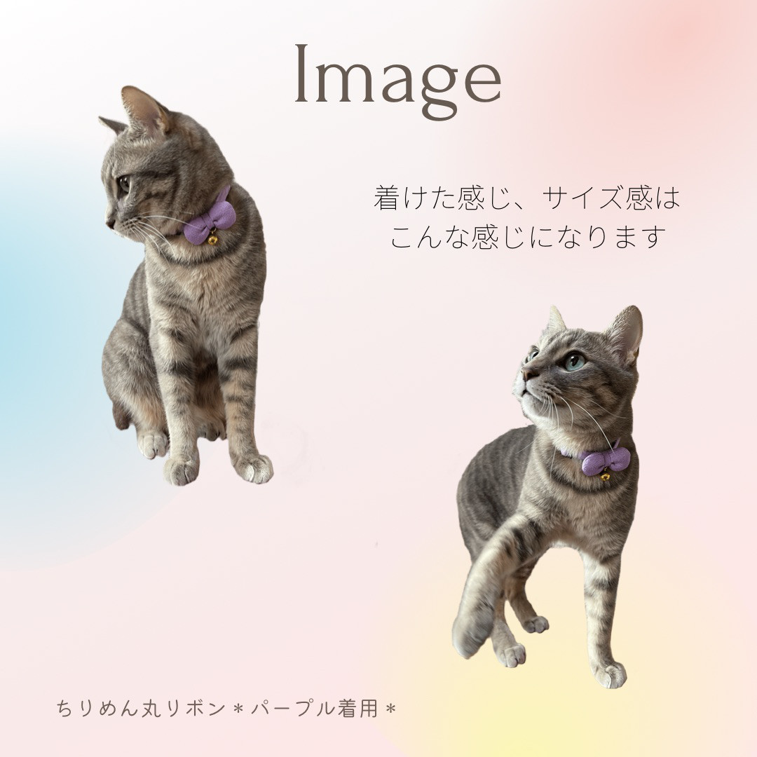 縫い付け迷子札 ねこおもいシュシュ猫首輪☆着用イメージ写真／名前 名札ネームタグ 縫い付け迷子札 ねこおもいシュシュ猫首輪☆着用イメージ写真