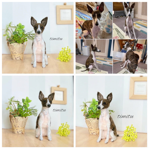 羊毛フェルトウィペット