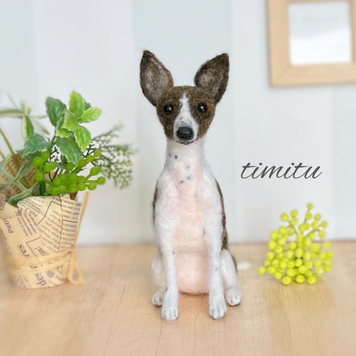 羊毛フェルト　ウィペット Needle Felting Kit | Toy Poodle - Hamanaka - YouTube