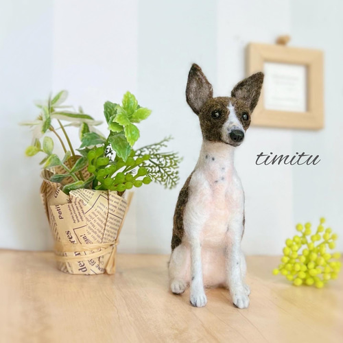 ◇こちらはサンプル画像です◇羊毛フェルト 愛犬 オーダー ぬいぐるみ