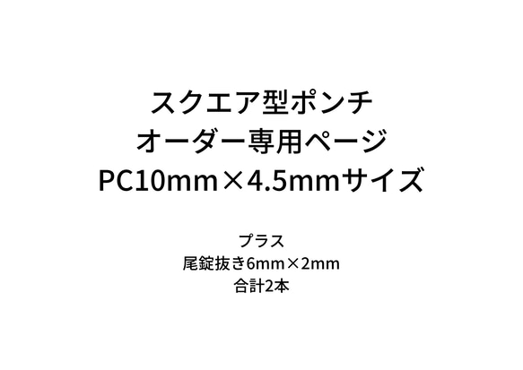 PB6/2 ➕ PC10/4.5 購入専用ページ 1枚目の画像