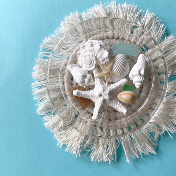 貝殻のアロマストーン おまかせ5個セット(ホワイト) 2枚目の画像
