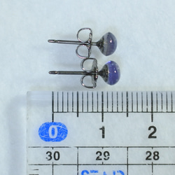 （1 件）堇青石耳釘（5 毫米，鈦柱） 第5張的照片