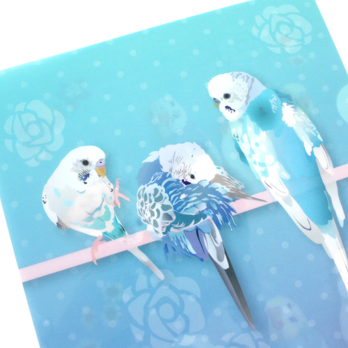A4クリアファイル「ゆめいろいんこ」 その他雑貨 とりアート 通販