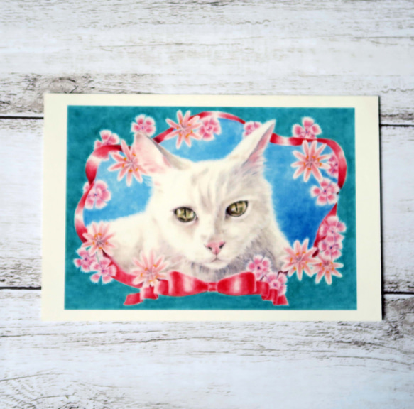 ポストカード３枚セット猫パステル画〈❁フローラルリボン❁〉 2枚目の画像