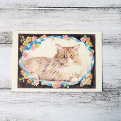 ポストカード３枚セット猫パステル画〈❁フローラルリボン❁〉 4枚目の画像