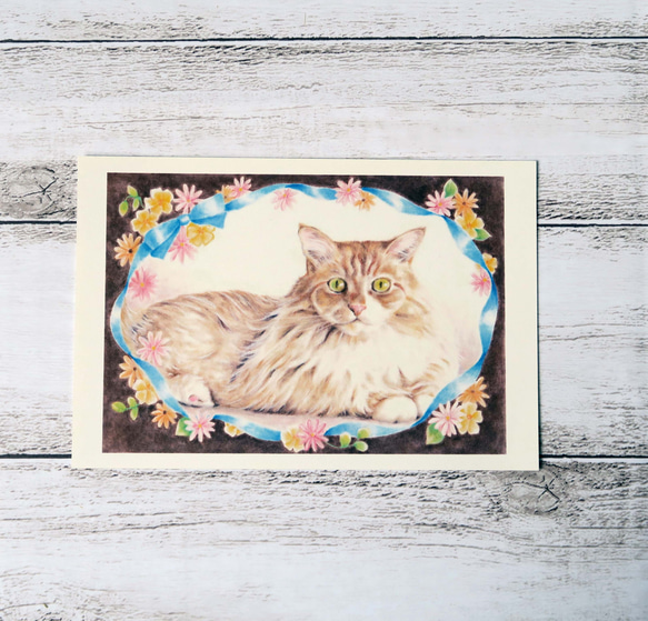 ポストカード３枚セット猫パステル画〈❁フローラルリボン❁〉 4枚目の画像