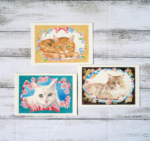 ポストカード３枚セット猫パステル画〈❁フローラルリボン❁〉 1枚目の画像