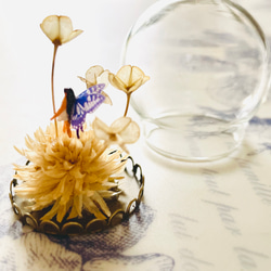 ミニガラスドームの妖精（その2） 妖精標本商会　妖精アクセサリー　小瓶の妖精　置物　ガラスドーム　妖精・フェアリー 3枚目の画像
