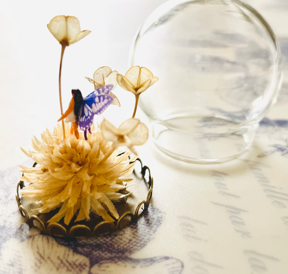 ミニガラスドームの妖精（その2） 妖精標本商会　妖精アクセサリー　小瓶の妖精　置物　ガラスドーム　妖精・フェアリー 3枚目の画像