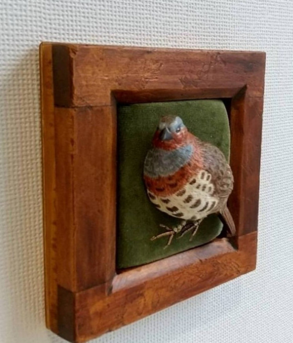 コジュケイのブローチ 額付き    木で作った鳥のブローチ 木彫り-バードカービング·鳥好きさんへ 3枚目の画像