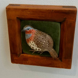 コジュケイのブローチ 額付き    木で作った鳥のブローチ 木彫り-バードカービング·鳥好きさんへ 4枚目の画像