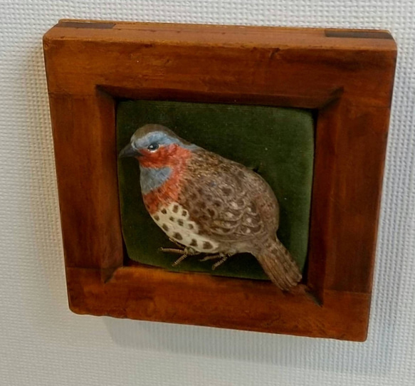 コジュケイのブローチ 額付き    木で作った鳥のブローチ 木彫り-バードカービング·鳥好きさんへ 4枚目の画像