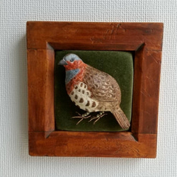 コジュケイのブローチ 額付き    木で作った鳥のブローチ 木彫り-バードカービング·鳥好きさんへ 2枚目の画像