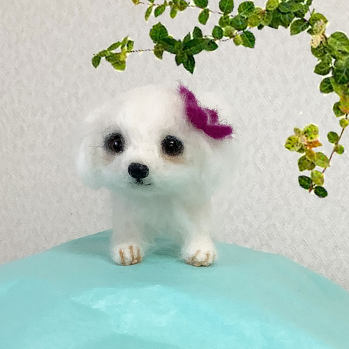 羊毛フェルト チワワちゃんとマルチーズ