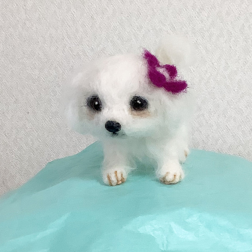 cmマルチーズ・羊毛フェルト❣️ 335☆16 若々しく