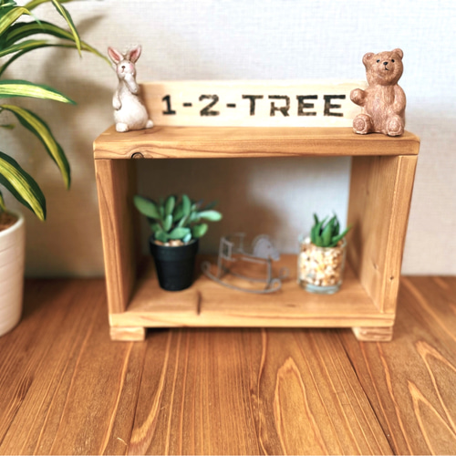 送料無料】サーモウッド製◇箱型シェルフ◇ボックス 棚・シェルフ