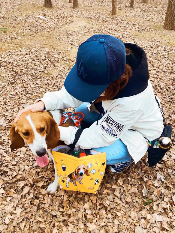 世界に一つだけの保温お弁当バッグ　愛犬・愛猫・ペット　犬　猫　うさぎ　鳥　ハムスタ-　ペット　インテリア　メモリアル 1枚目の画像