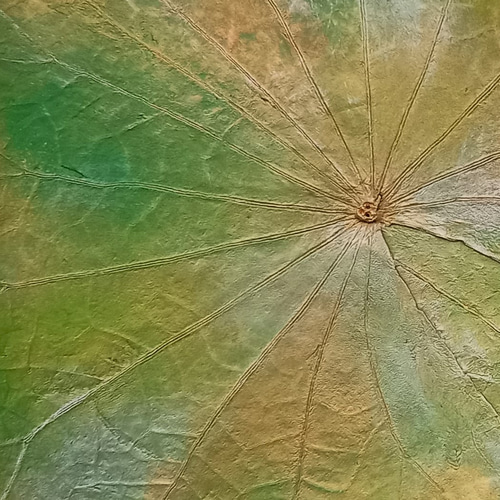 Creema限定で送料無料!】天然の蓮の葉とネパール手漉き和紙の両面