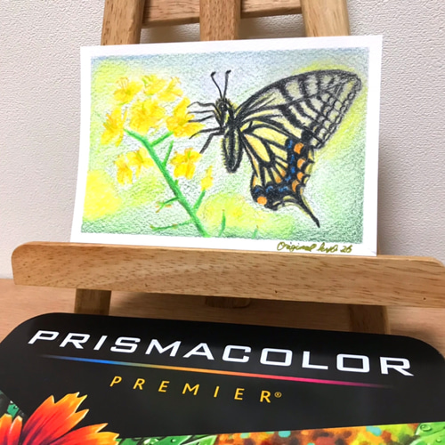 お値下げ⭐️菜の花とアゲハ蝶／色鉛筆画／No26 絵画 original-kyo
