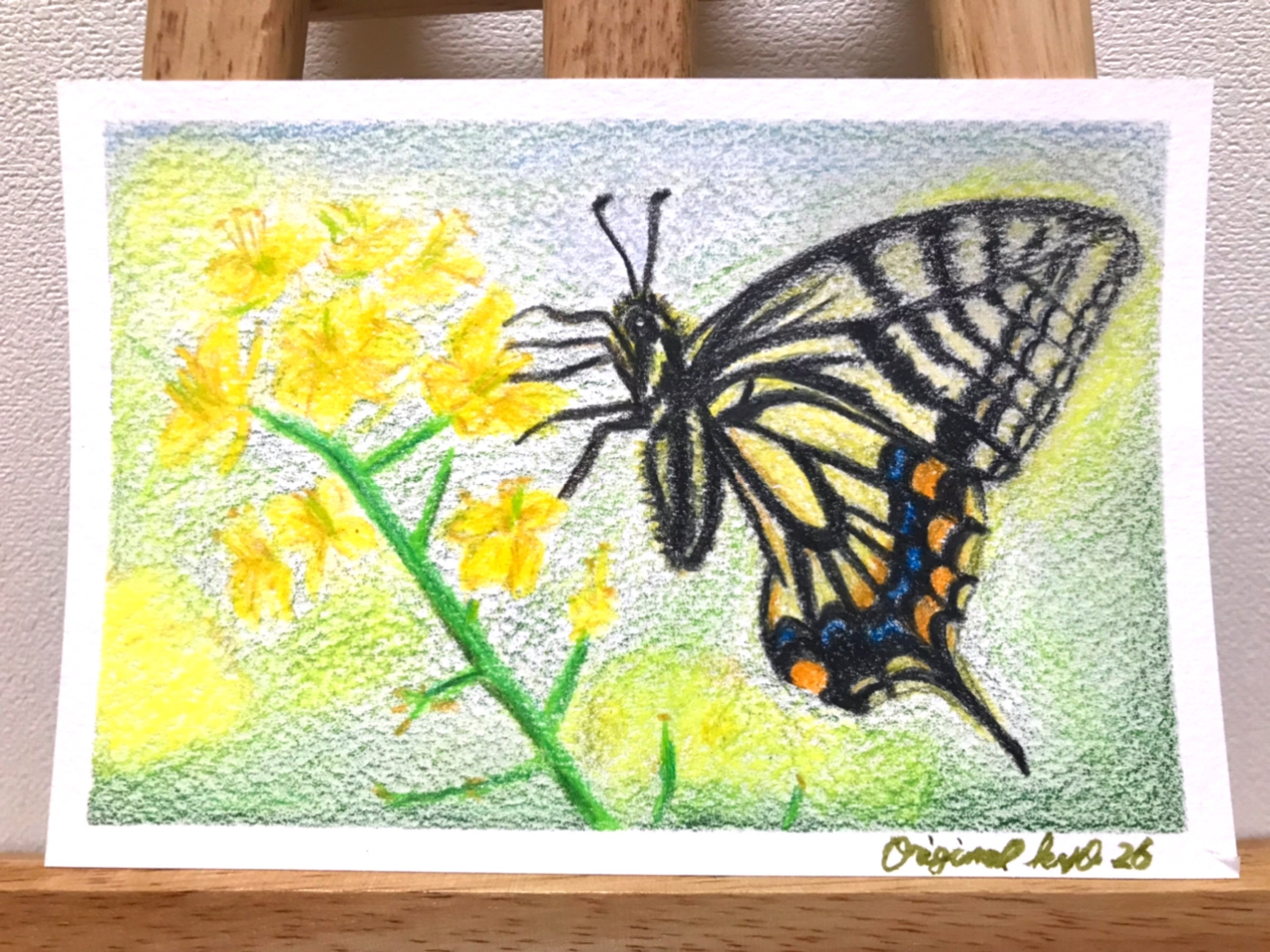 お値下げ⭐️菜の花とアゲハ蝶／色鉛筆画／No26 絵画 original-kyo