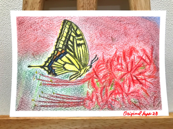堅実な究極の 彼岸花とアゲハ蝶／色鉛筆画／No28 絵画 original-kyo 通販 絵画