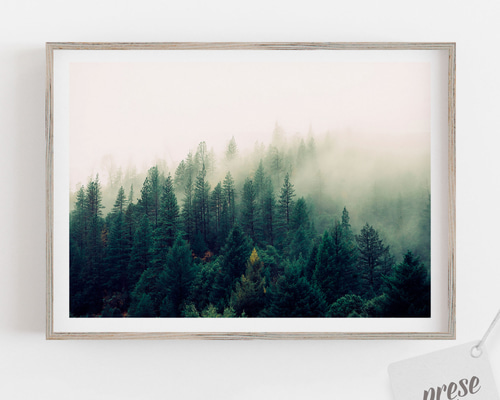 69fa93ba7bbcd04d3e937d2b3edc97