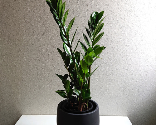 c3b6e6e31237244dfcfc229453ae23