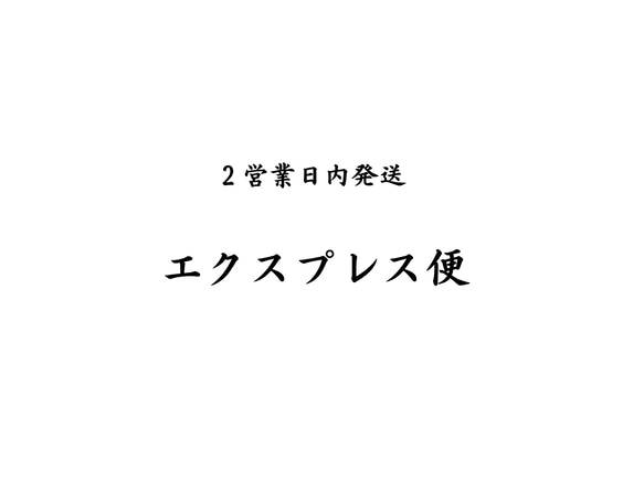 2営業日エクスプレス便 1枚目の画像