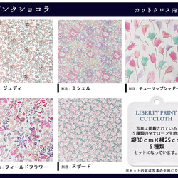 リバティ【カットクロス】「ピンクショコラ」ピンク系　5種セット　生地　はぎれ　布　綿　LIBERTY 3枚目の画像