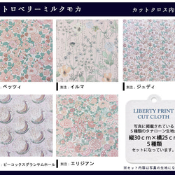 リバティ【カットクロス】「ストロベーリーミルクモカ」5種セット　生地　はぎれ　布　綿　LIBERTY 3枚目の画像