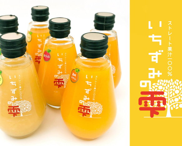 〈6本セット〉 ストレート果汁100%ジュース「いちずみの雫」200ml×6本【御祝・ギフト・贈り物】 1枚目の画像