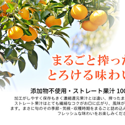 〈6本セット〉 ストレート果汁100%ジュース「いちずみの雫」200ml×6本【御祝・ギフト・贈り物】 3枚目の画像