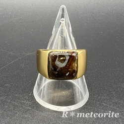 一点物☆パラサイト隕石＜セリコ＞のリング(指輪)☆メッキ製【ゴールド