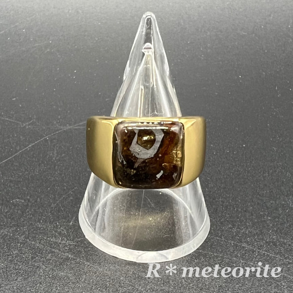 一点物☆パラサイト隕石＜セリコ＞のリング(指輪)☆メッキ製【ゴールド