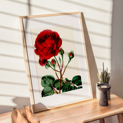 【NO.392】赤色の薔薇の花フラワーアートポスター☆バラゴージャスエレガントアンティーク☆A5A4A3A2A1B5B4 1枚目の画像