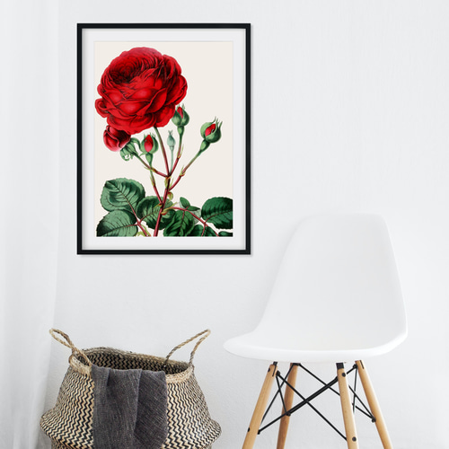 シルビア 花 薔薇 花瓶 バンケット オレンジ背景 額縁 アート NO.392】赤色の薔薇の花フラワーアートポスター☆バラゴージャス