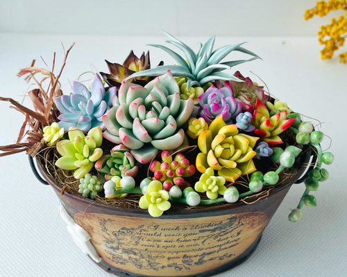 樹脂粘土 多肉 チャーム 樹脂粘土 多肉 チャーム