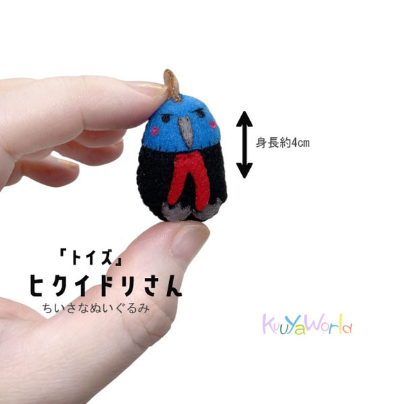 ハンドメイド　ぬいぐるみ　ヒクイドリ ぬいぐるみ ヒクイドリ 12