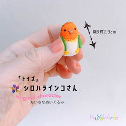 <トイズ>シロハラインコさん(小指サイズのちいさなぬいぐるみ) 1枚目の画像