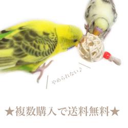 日本製 安心安全素材 鳥 インコ ボールの大きさ3cm かじりおもちゃ ミニボール ラタンボール ブルー レッド 3枚目の画像