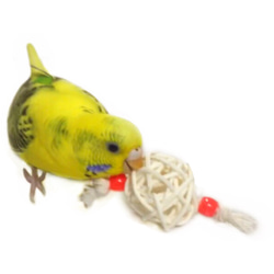 日本製 安心安全素材 鳥 インコ ボールの大きさ3cm かじりおもちゃ ミニボール ラタンボール ブルー レッド 2枚目の画像