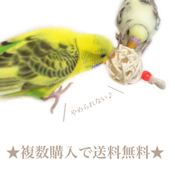 日本製 安心安全素材 鳥 インコ ボールの大きさ3cm かじりおもちゃ ミニボール ラタンボール  ハート×キャンディ 3枚目の画像