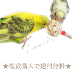 日本製 安心安全素材 鳥 インコ ボールの大きさ3cm かじりおもちゃ ミニボール ラタンボール  フラワー×ハート 3枚目の画像