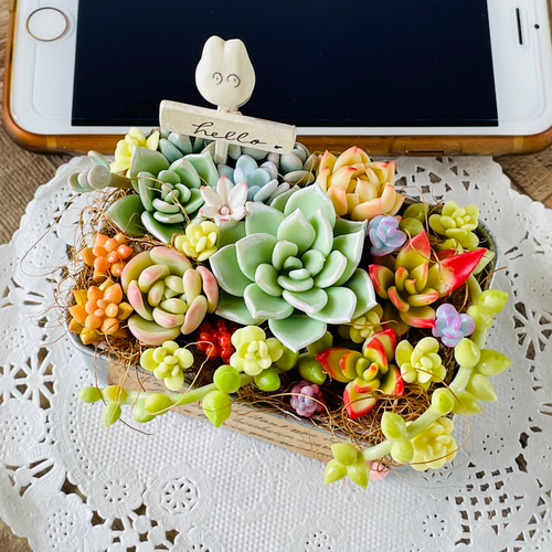 多肉アレンジ♡ ブリキBOX♪ 樹脂粘土、ハンドメイド多肉植物