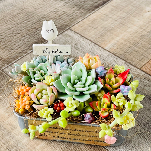多肉アレンジ♡ ブリキBOX♪ 樹脂粘土、ハンドメイド多肉植物