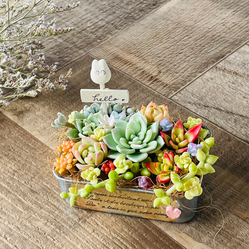 多肉アレンジ♡ ブリキBOX♪ 樹脂粘土、ハンドメイド多肉植物